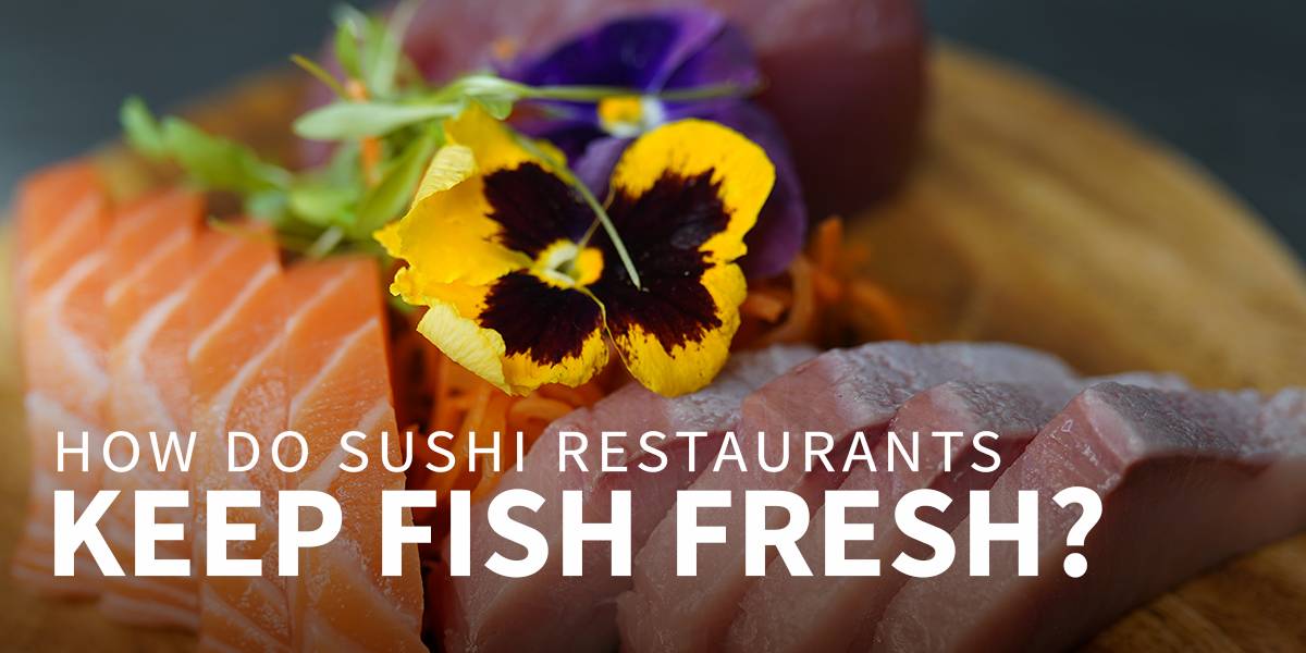 Fresh Fish for Sushi